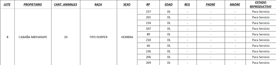 Lote LOTE 8 - POR PANTALLA