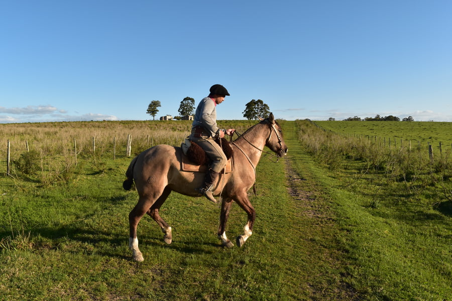 Lote Cabaña "Firmeza" - RP 73 - Piraí 73