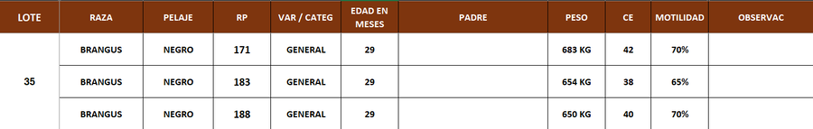 Lote LOTE 35