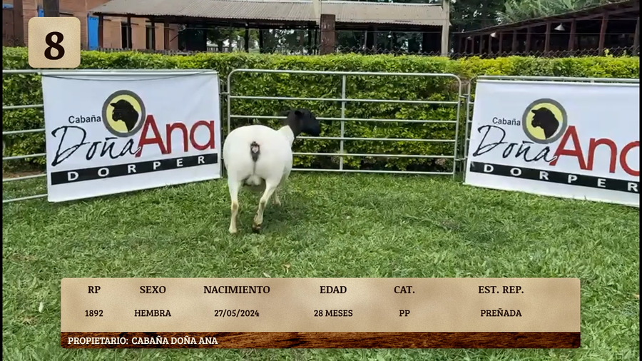 Lote LOTE 8