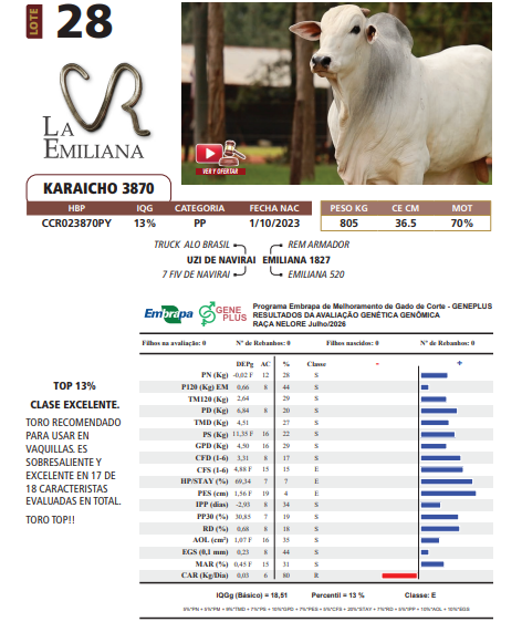 Lote LOTE 28