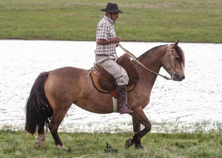 Lote Matilda Caraguatá