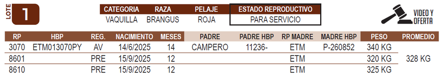 Lote LOTE 1