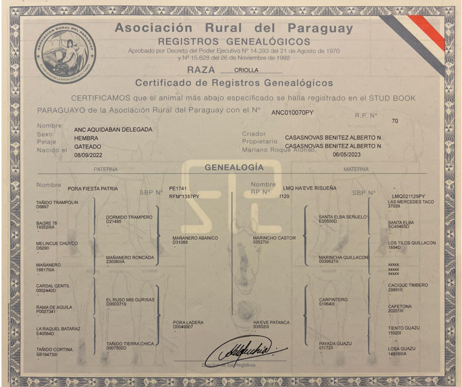 Lote LOTE 14 - DE CAMPO