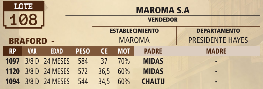 Lote LOTE 108 - VIVO