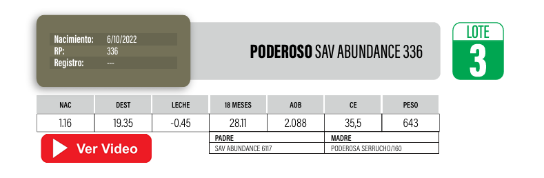 Lote Toros PI / PO / PC Angus a remate en Cabaña La Poderosa, Florida