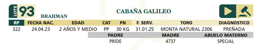 Lote LOTE 93