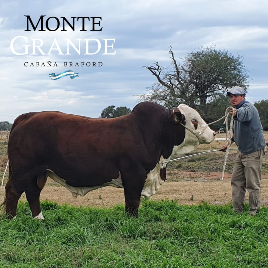 Lote CABAÑA MONTE GRANDE