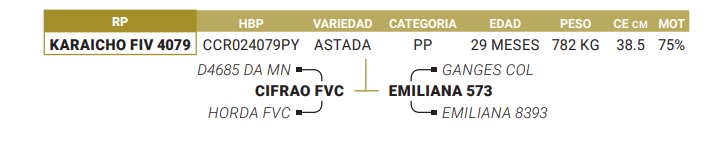 Lote LOTE 20