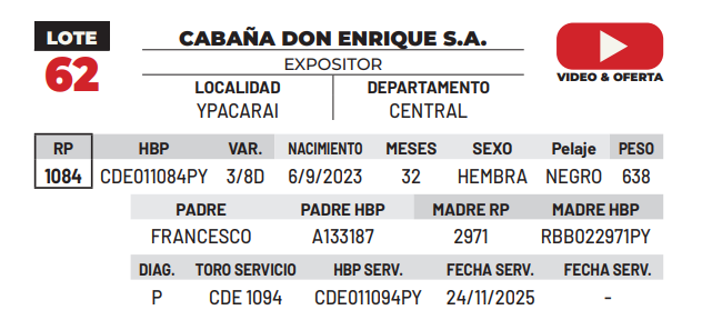Lote LOTE 62 -DE CAMPO