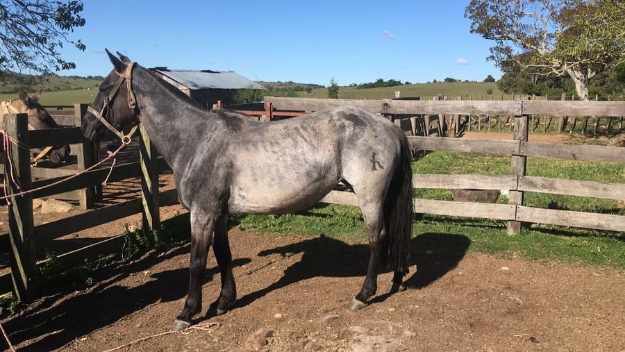 Lote Calandria la Serranera (RP 123) - Cabaña "La Serranera"