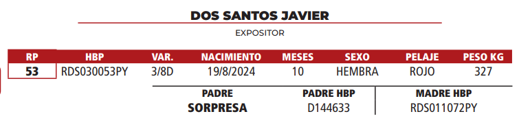 Lote LOTE 13