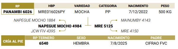 Lote LOTE 55
