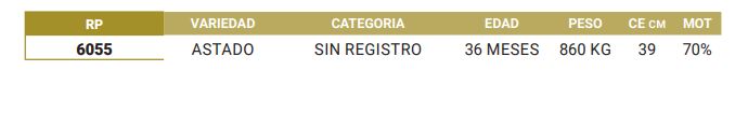 Lote LOTE 9
