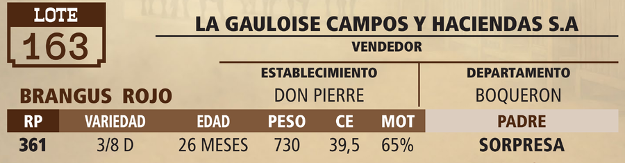 Lote LOTE 163 - VIVO