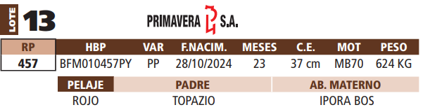 Lote LOTE 13