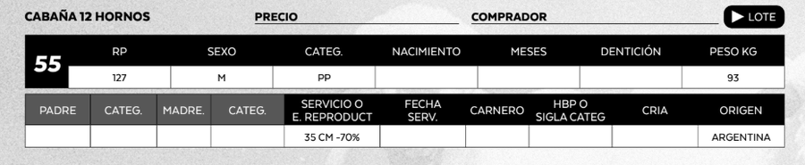 Lote LOTE 55