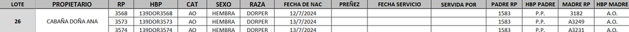 Lote LOTE 26 - DESTACADO