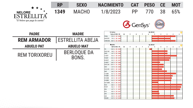 Lote LOTE 33