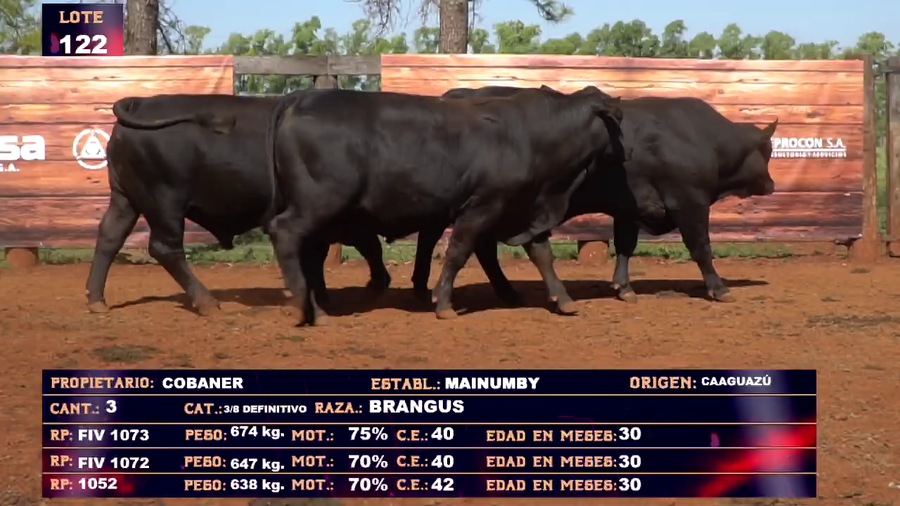 Lote COBANER- LOTE 122