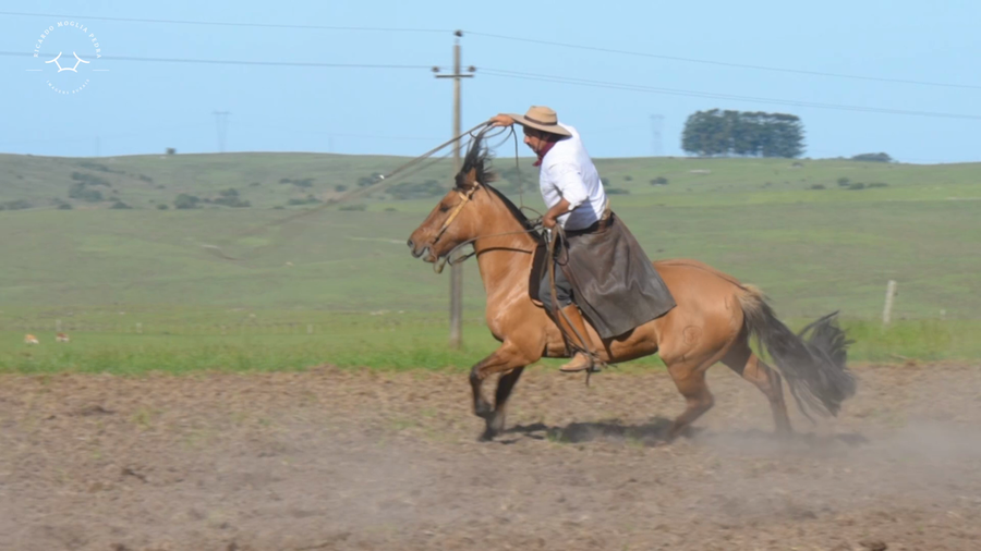 Lote El Gavilán Musulmana (RP 422) Cabaña "El Gavilán"