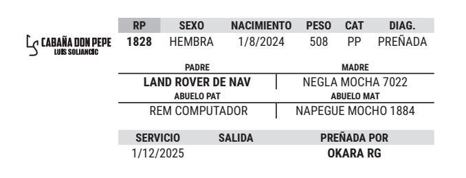 Lote LOTE 24