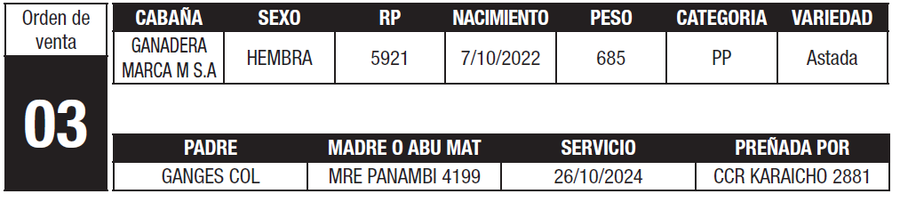 Lote LOTE 3