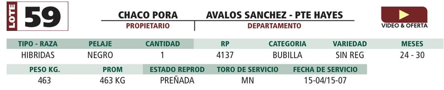 Lote LOTE 59