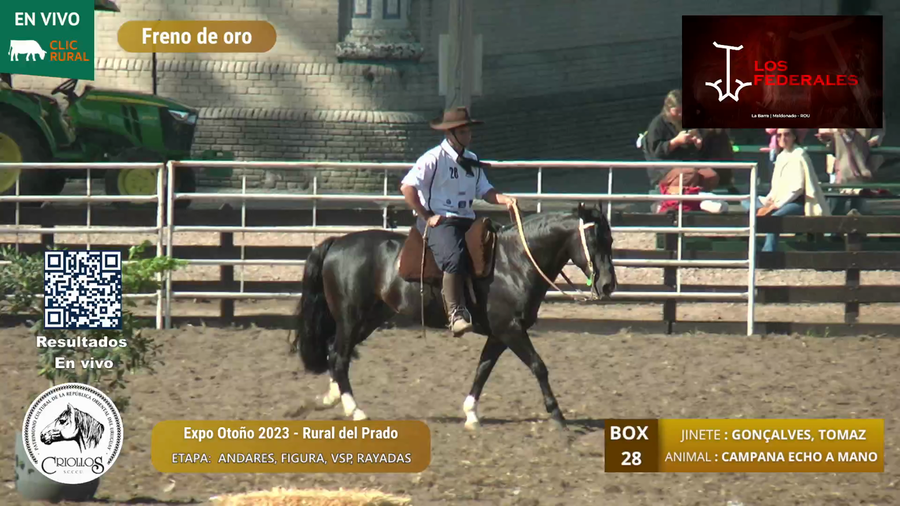 Lote CAMPANA ECHO A MANO - RODIGHERI, ANDRE
