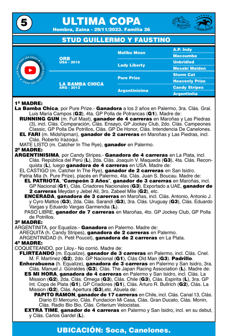 Lote LOTE 5 - ULTIMA COPA