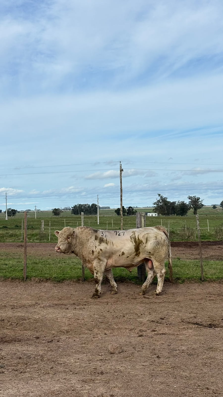 Lote La Margarita RP 727
