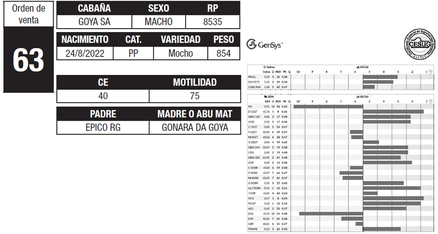 Lote LOTE 63