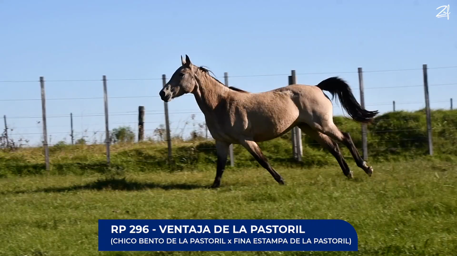 Lote Ventaja de La Pastoril