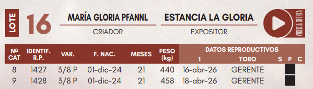 Lote LOTE 16 - VAQUILLAS DE CAMPO