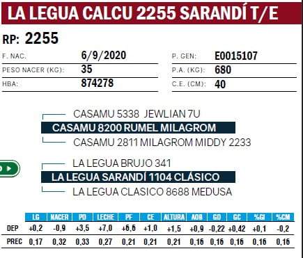 Lote TOROS ANGUS PURO DE PEDIGREE