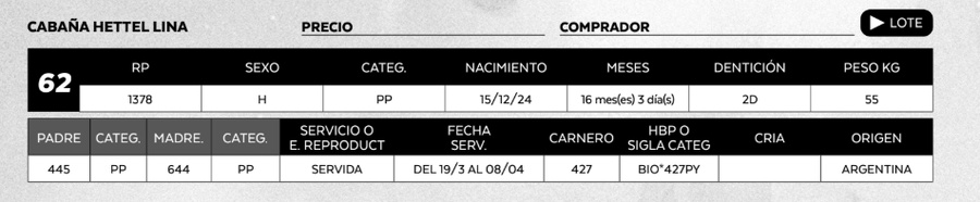 Lote LOTE 62