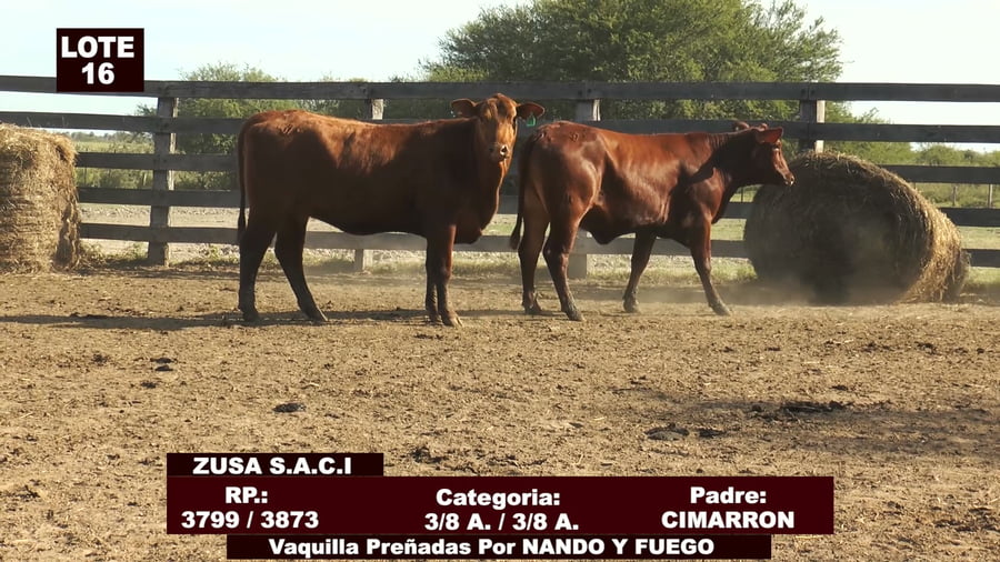 Lote Cabañas de Tradición - Lote 16