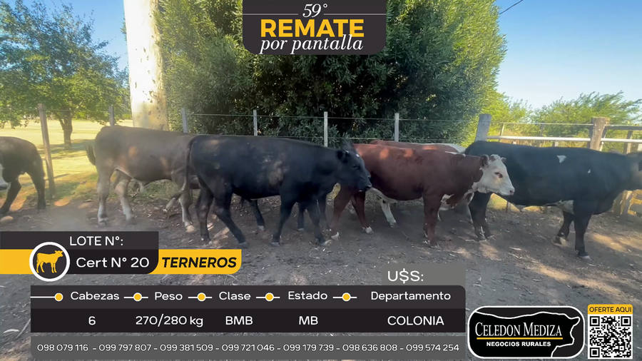 Lote 6 Terneros en Tarariras, Colonia