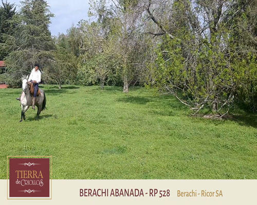Lote Berachi Abanada (RP 528) - Cabaña Berachi