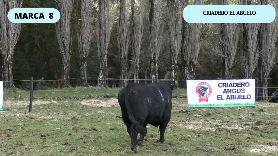 Lote 1 Toro en XI Región Aysén, Coyhaique