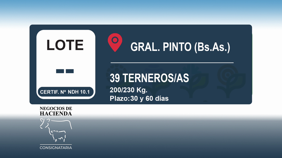 Lote 39 Terneros/as en Buenos Aires, Gral. Pinto