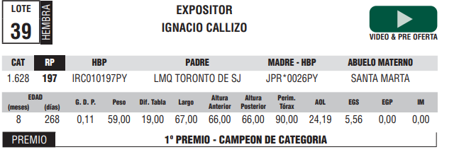 Lote LOTE 39