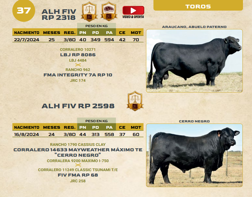 Lote LOTE 37
