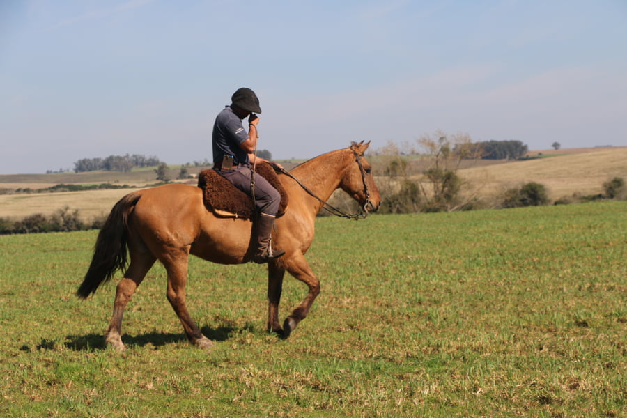 Lote YO SOLITO DEL CONVENTOS