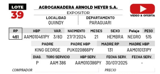 Lote LOTE 39 -DE CAMPO