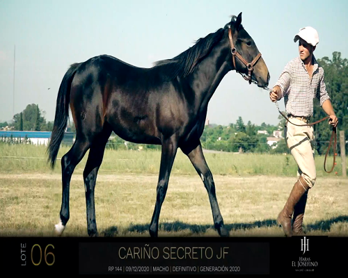 Lote CARIÑO SECRETO JF