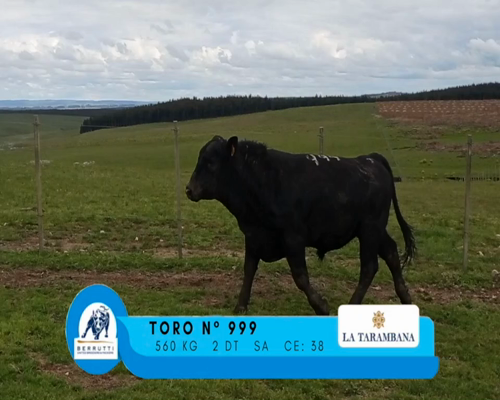 Lote TORO 999