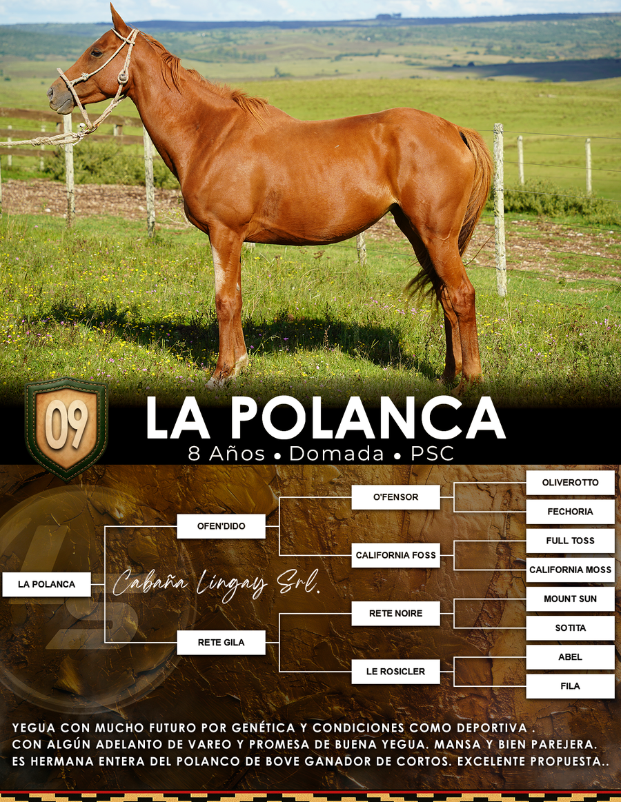 Lote LA POLANCA