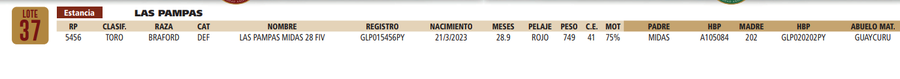Lote LOTE 37