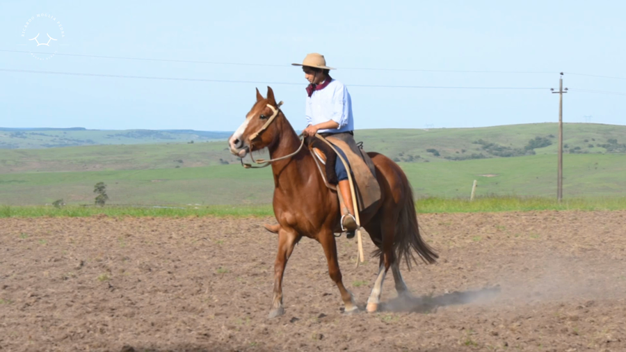 Lote El Gavilan Mete Miedo (RP 408) Cabaña "El Gavilán"